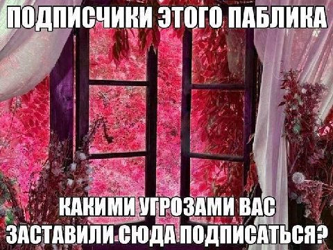 ПОДПИСЧИКИ ЭТОГО ПАБЛИКА КАКИМИ УГРОЗАМИ ВАС ЗАСТАВИЛИ СЮДА ПОДПИСАТЬСЯ?