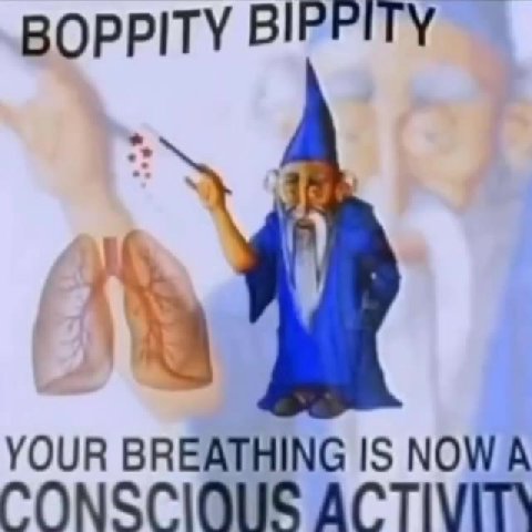 BOPPITY ВРРИУ — BOPPITY BIPPITY CONSCIOUS ACTIVITS