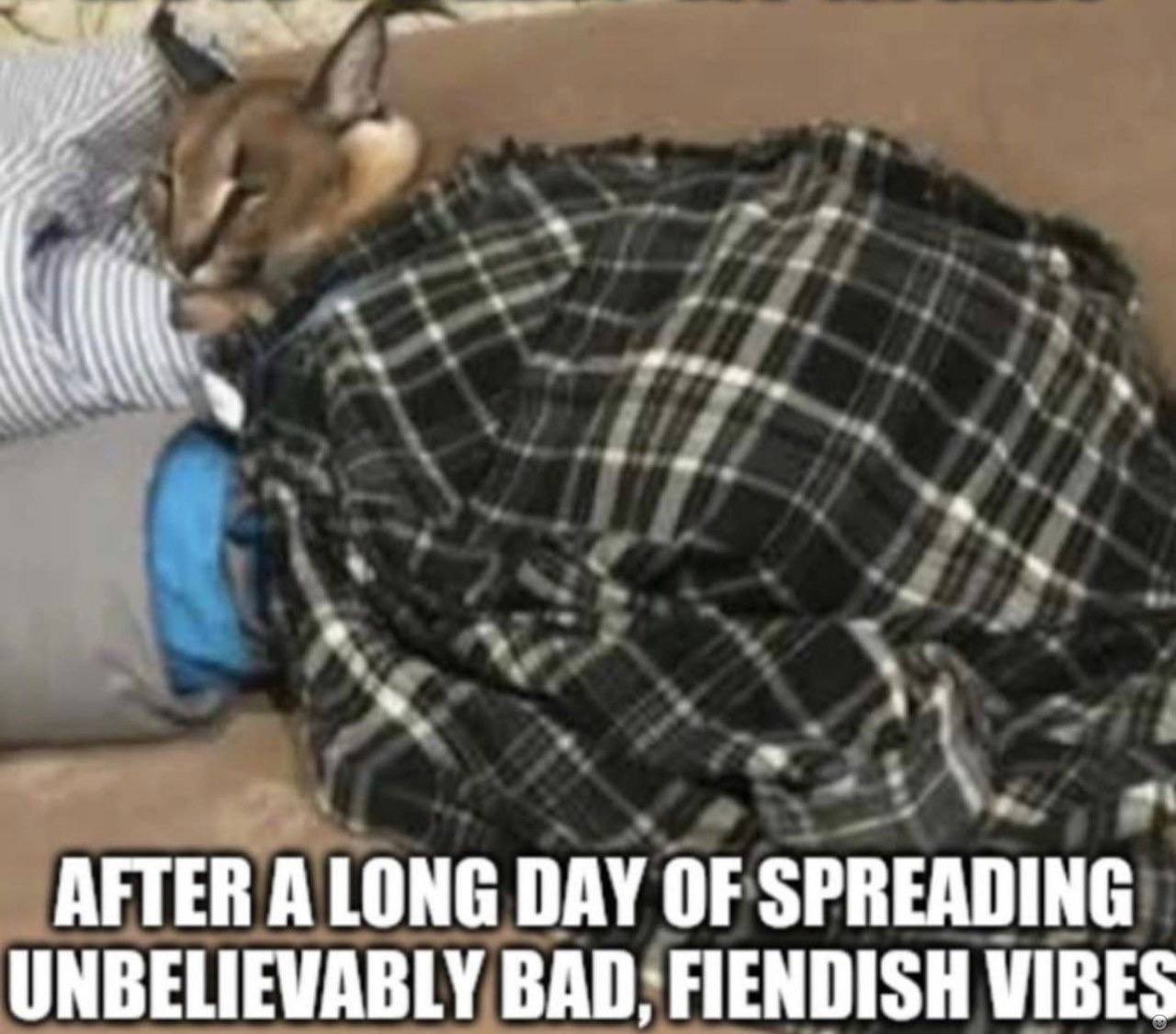 AFTER А LONG DAY OF SPREADING UNBELIEVABLY BAD; FIENDISH VIBES
