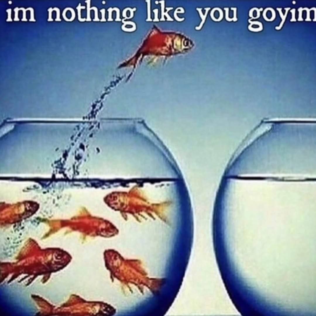 no you