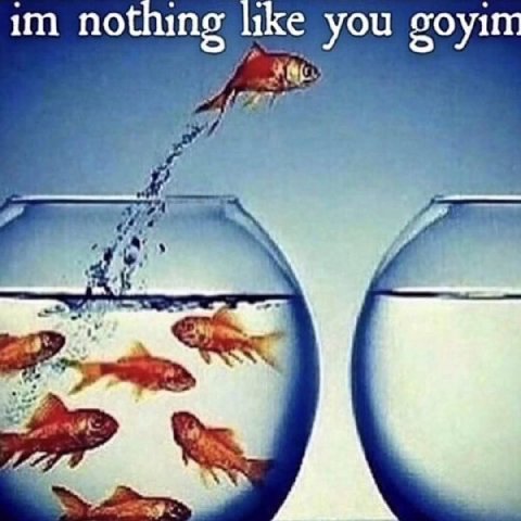 no you