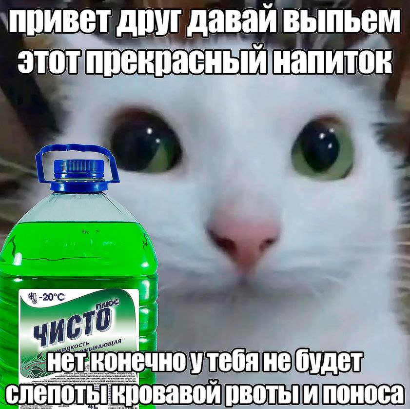 привет друг давай ВЫПЬЕМ этот прекрасный напиток 2) 4 7 I) утебя не будет кровавой поноса