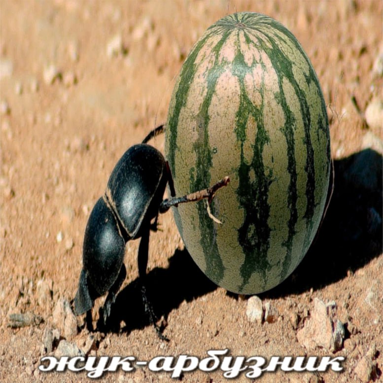 49 у it 4. a a 4 4 3 hey 4 у 2 1 у у у a: 4, 4 у 4 у. у и, у my if cet 4 I 4 4 4 ‘a