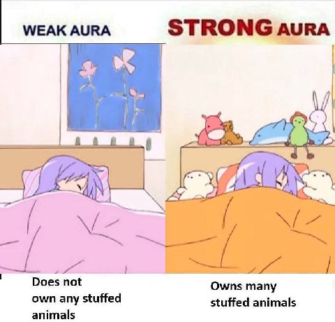 WEAK AURA STRONG aura Does not own any stuffed Owns many stuffed animals animals