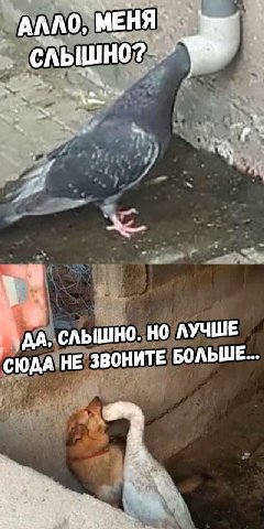 АЛЛО, СЛЫШНО. ЛУЧШЕ СЮДА НЕ ЗВОНИТЕ БОЛЬШЕ 4