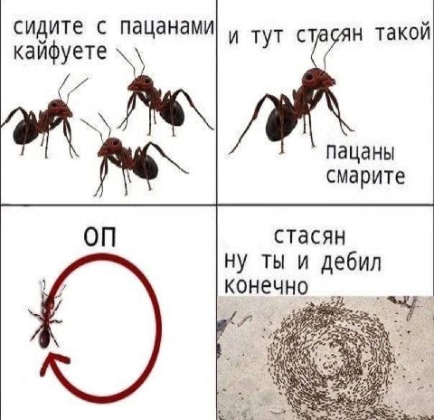 сидите с пацанами! тут стасян такой пацаны смарите on стасян ну ты и дебил конечно 4