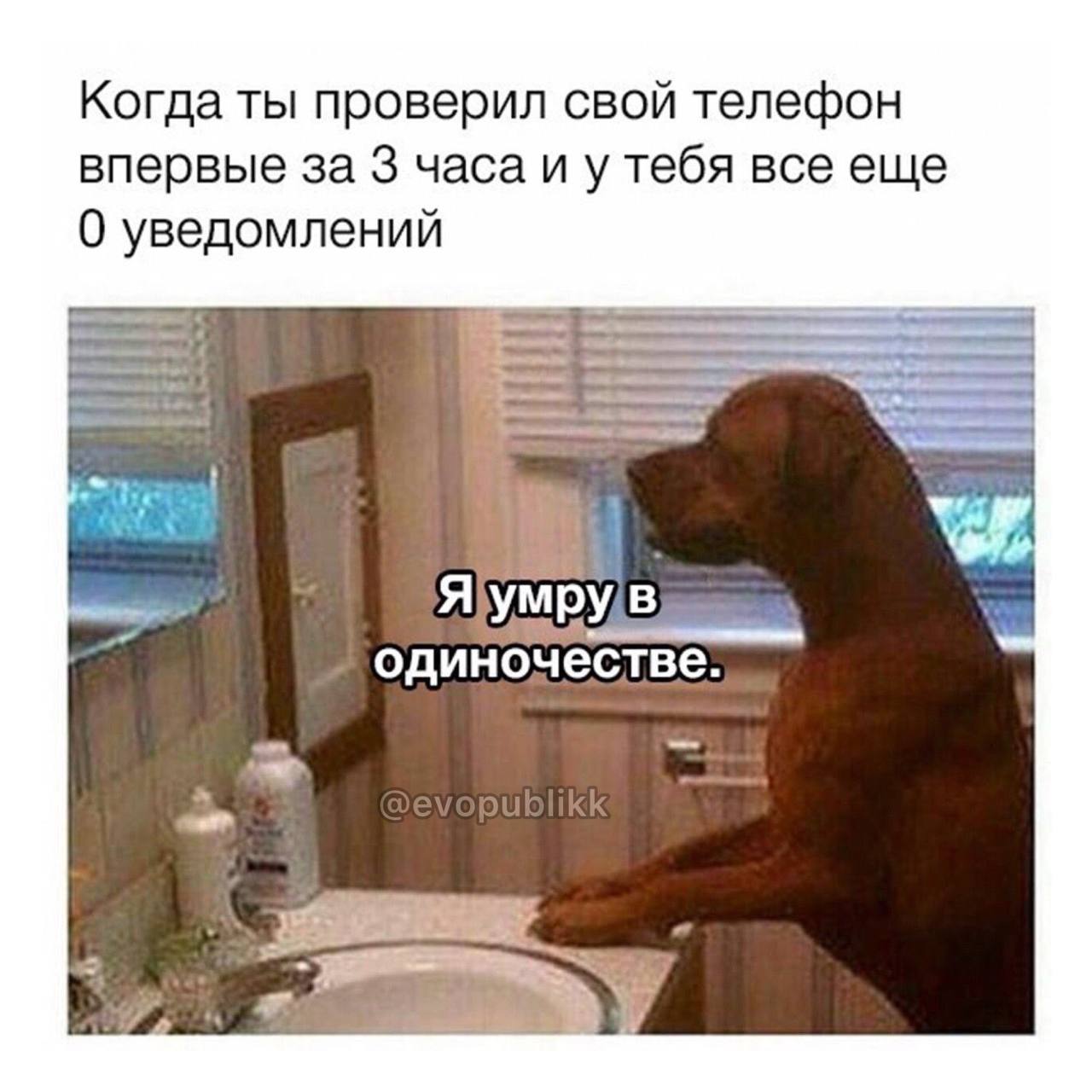 Когда ты проверил свой телефон впервые за 3 часа и у тебя все еще 0 уведомлений Яумрув одиночестве.