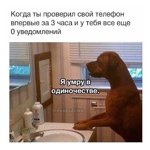 Когда ты проверил свой телефон впервые за 3 часа и у тебя все еще 0 уведомлений Яумрув одиночестве.