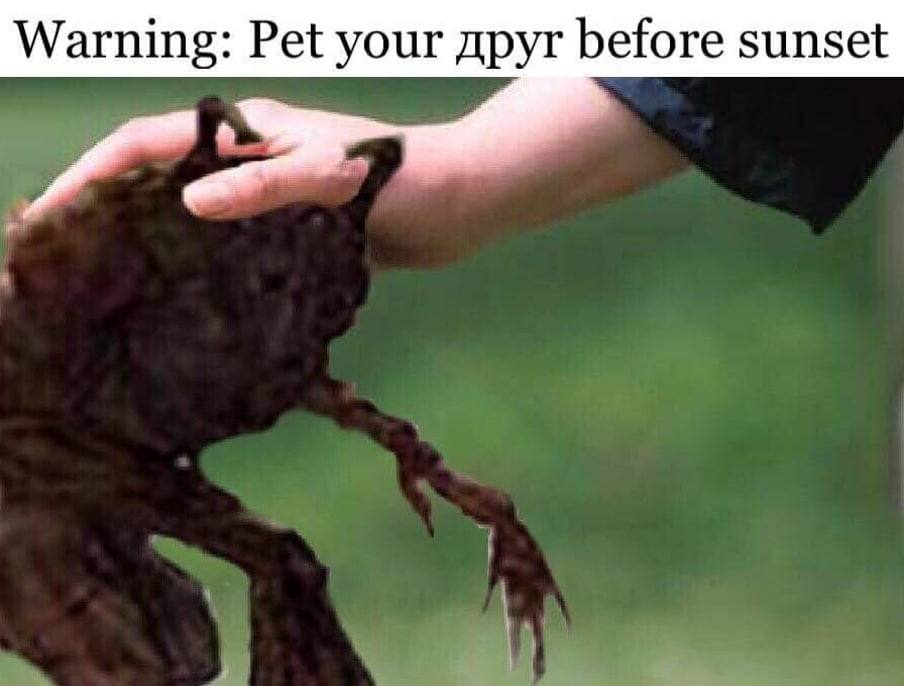 Warning: Pet your друг before sunset