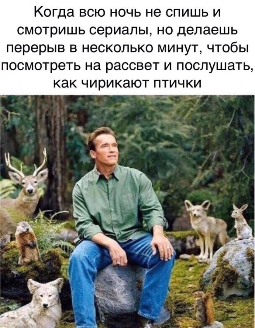 Когда всю ночь не спишь и смотришь сериалы, но делаешь перерыв в несколько минут, чтобы посмотреть на рассвет и послушать, как чирикают птички 4 и 5 28 a