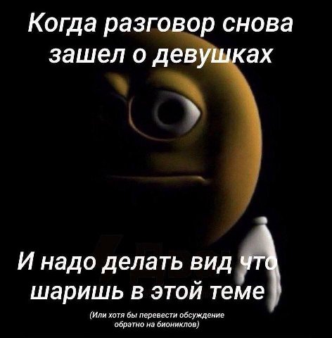 Когда разговор снова зашел о девушках И надо делать вид шаришь в этой теме (Или хотя бы перевести обсуждение обратно на биониклов)