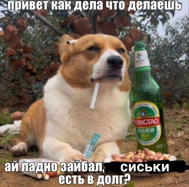 как дела что делаешь сиськи есть в