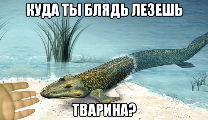 КУДА ТЫ! БЛЯДЬ ЛЕЗЕШЬ 4 9 в it А aed an a 7 BAR MHA