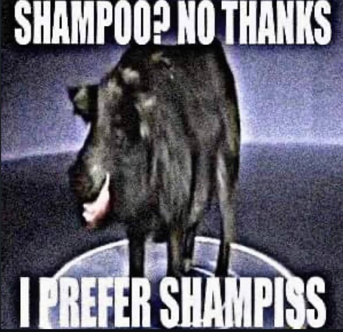 NO THANKS