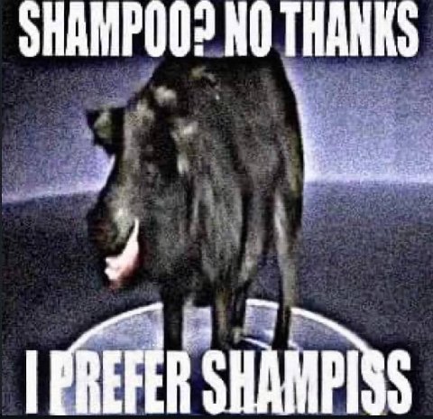 NO THANKS