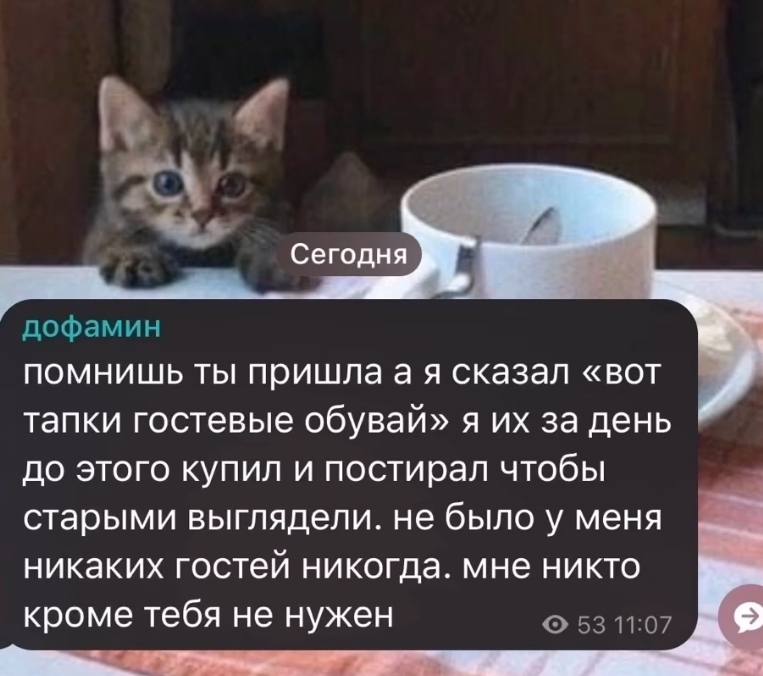 Сегодня дофамин помнишь ты пришлаая сказал «вот тапки гостевые обувай» я за день до этого купил и постирал чтобы старыми выглядели. не было у меня никаких гостей никогда. мне никто кроме тебя не нужен