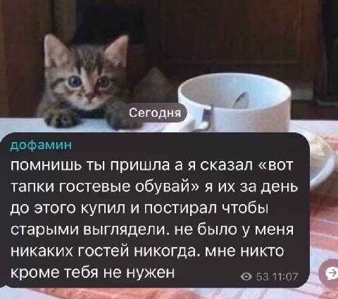 Сегодня дофамин помнишь ты пришлаая сказал «вот тапки гостевые обувай» я за день до этого купил и постирал чтобы старыми выглядели. не было у меня никаких гостей никогда. мне никто кроме тебя не нужен