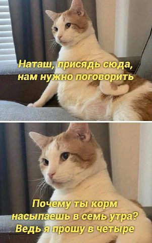 Наташ, Присядь ‘сюда, нам Но поговорить 4 Почему ТЫ корм насыпаешь в семь утра? Ведья прошу четыре