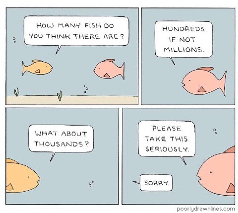 HOW MANY FISH HUNDREDS. YOU THINK THERE ARE? NOT MILLIONS. PLEASE WHAT ABOUT TAKE THIS THOUSANDS SERIOUSLY.