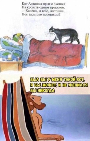 Кот Антошка прыг с окошка На кровать одним прыжком. Хочешь, я тебе, Антошка, Нос засыплю порошком” 6 a ТАКОЙ А