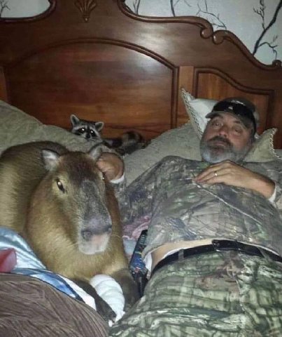 это я с подписчиками