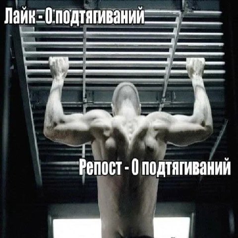 0: Penoct 0 подтягиваний