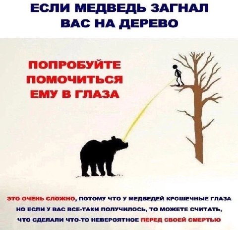 ЕСЛИ МЕДВЕДЬ ЗАГНАЛ ВАС НА ДЕРЕВО ПОПРОБУЙТЕ ЕМУ В ГЛАЗА ЭТО ОЧЕНЬ СЛОЖНО, ПОТОМУ ЧТО У МЕДВЕДЕЙ КРОШЕЧНЫЕ ГЛАЗА НО ЕСЛИ У ВАС ВСЕ-ТАКИ ПОЛУЧИЛОСЬ, ТО МОЖЕТЕ СЧИТАТЬ, ЧТО СДЕЛАЛИ ЧТО-ТО НЕВЕРОЯТНОЕ ПЕ