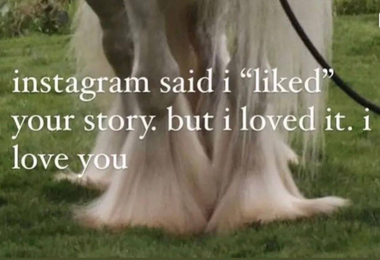 instagram said i “liked” your story. but i loved it. 1 love you