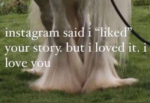 instagram said i “liked” your story. but i loved it. 1 love you