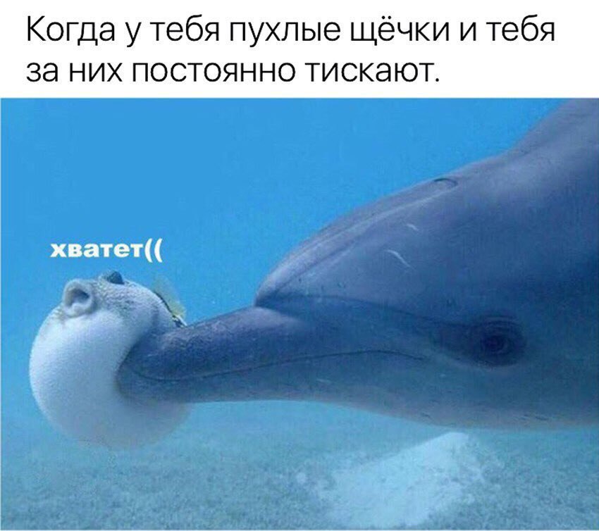 Когда у тебя пухлые щёчки и тебя за них постоянно тискают. хватет((