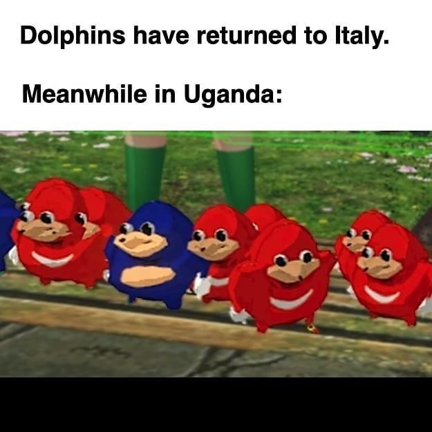 de wey