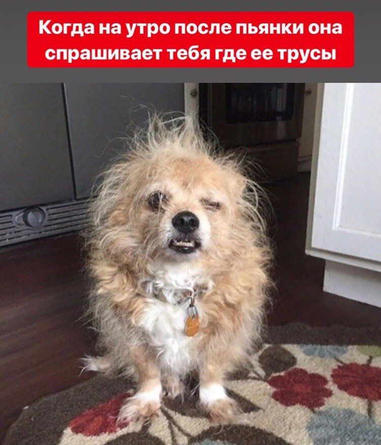 Когда на утро после пьянки она спрашивает тебя гдеее трусы