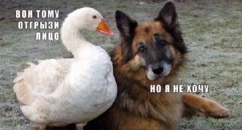 ВОН ТОМУ ОТГРЫЗИ ЛИЦО НО Я НЕ ХОЧУ