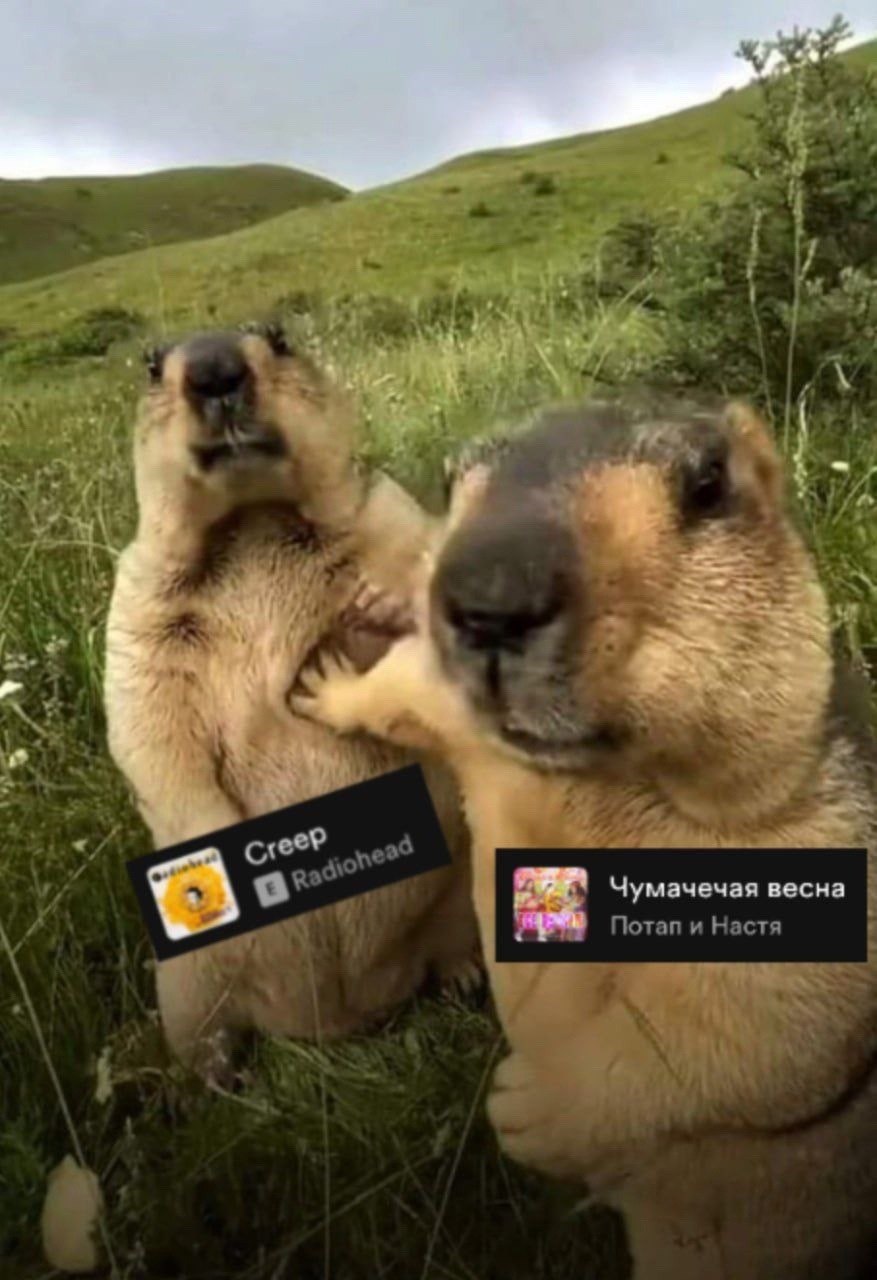 у и 4 7 POS 54 a 4 7 У 4 i A 4 у cre Чумачечая весна и Потап и Настя С