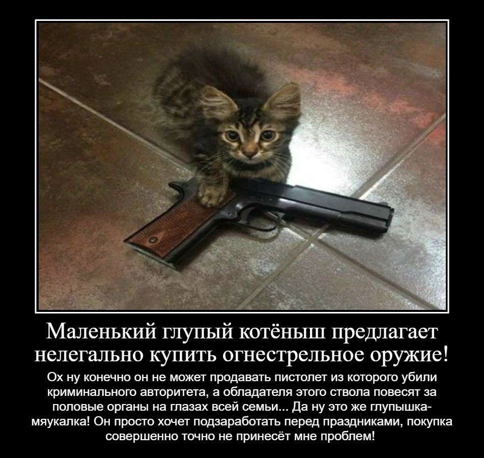 Маленький глупый котёныш предлагает нелегально купить огнестрельное оружие! ну конечно он не может продавать пистолет из которого убили криминального авторитета, а обладателя этого ствола повесят за п