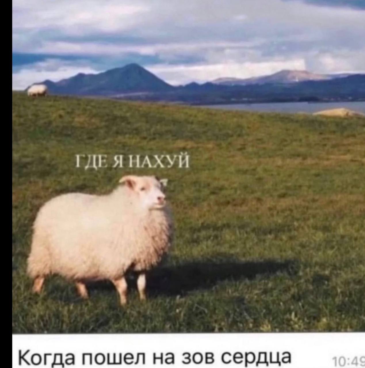 ГДЕ Я НАХУЙ 7 Когда пошел на зов сердца