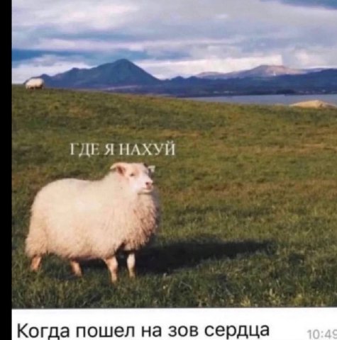 ГДЕ Я НАХУЙ 7 Когда пошел на зов сердца