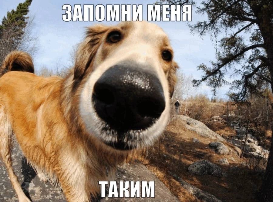 4 у у к i TAR И