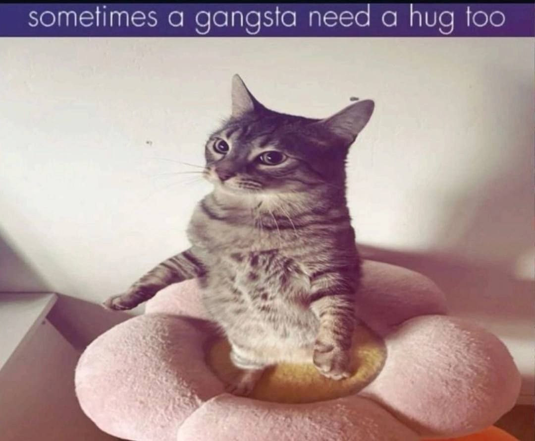 sometimes a gangsta need a hug too
