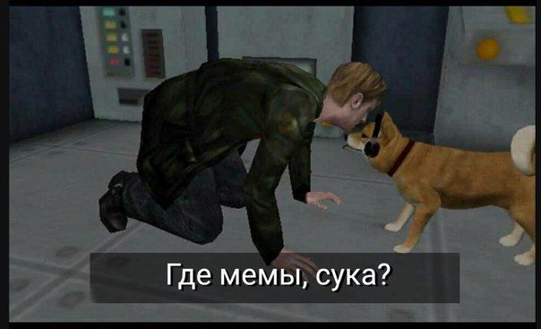 Где мемы, сука?