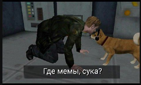 Где мемы, сука?