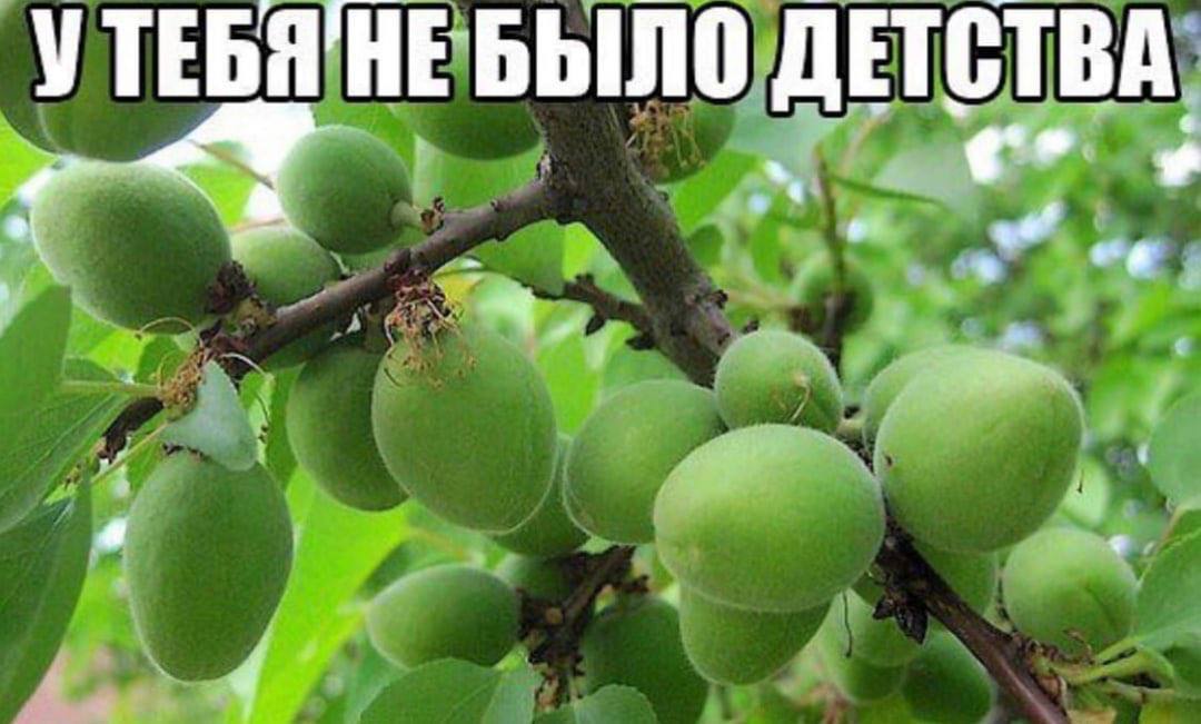 УТЕБЯ НЕБЫЛО ДЕТСТВА