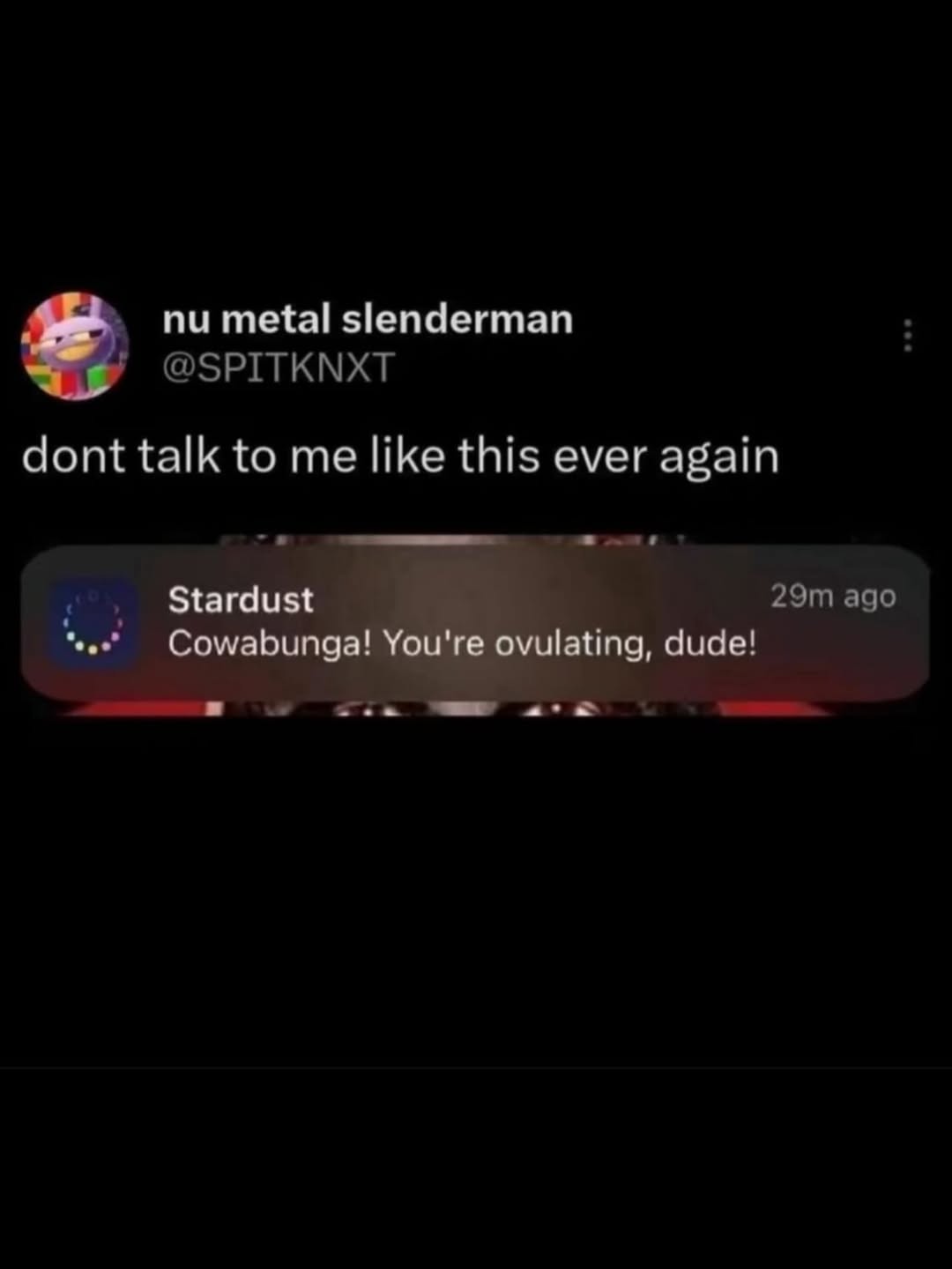 metal slenderman @SPITKNXT dont talk to me like this ever again ago Cowabunga! You're ovulating, dude!
