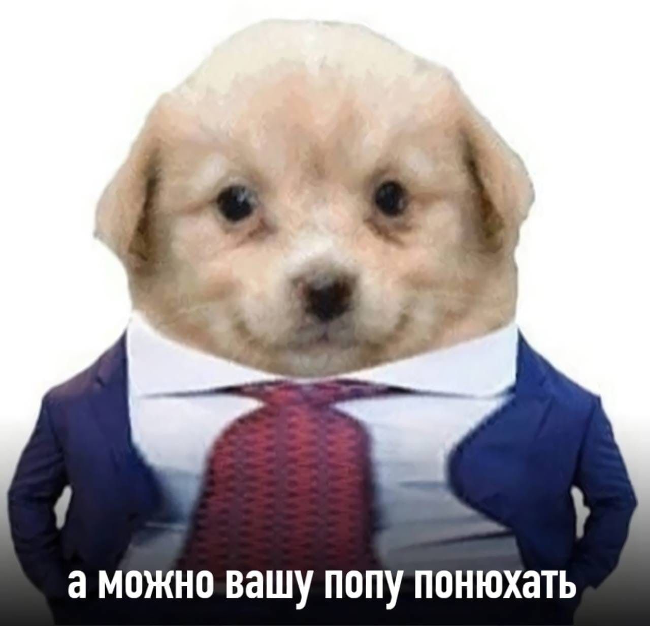 а можно вашу попу понюхать