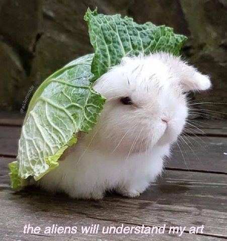att the aliens will understand my art