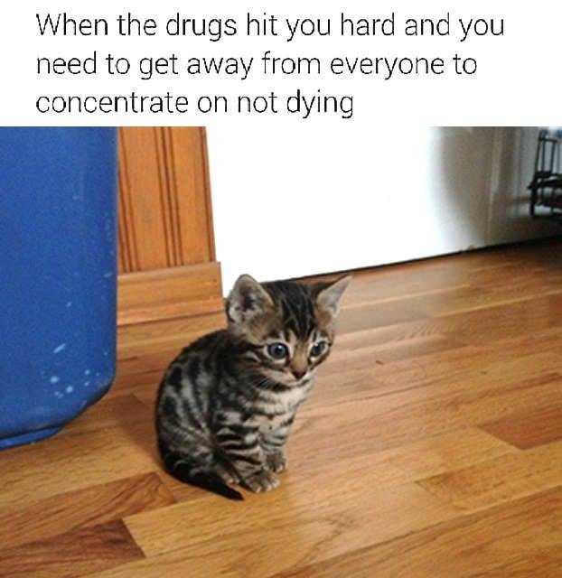 When the drugs hit you hard and you need to get away from everyone to concentrate on not dying
