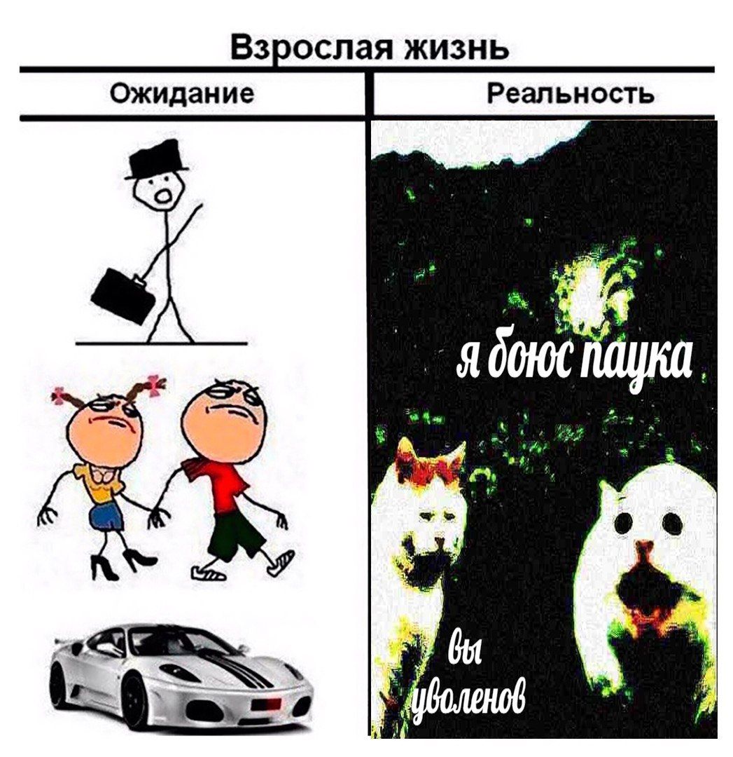 Взрослая жизнь Ожидание Реальность 2