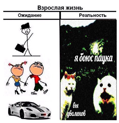 Взрослая жизнь Ожидание Реальность 2