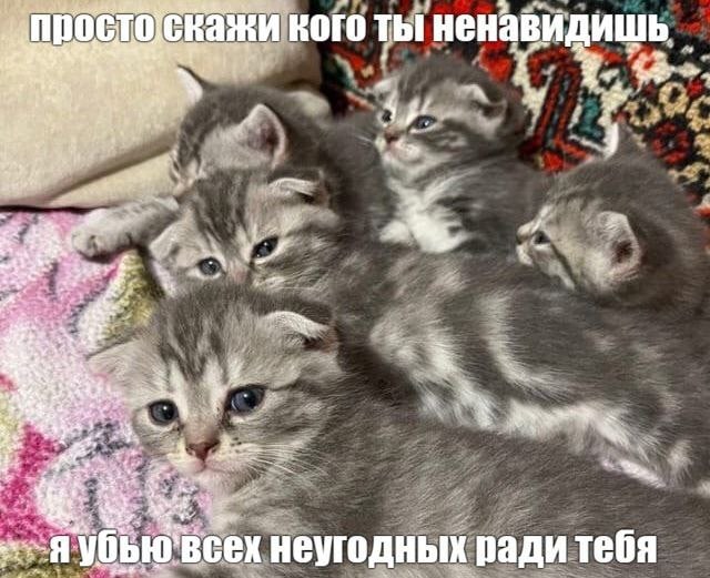 скажу кого ненавидишь 43 A неугодных ради тебя