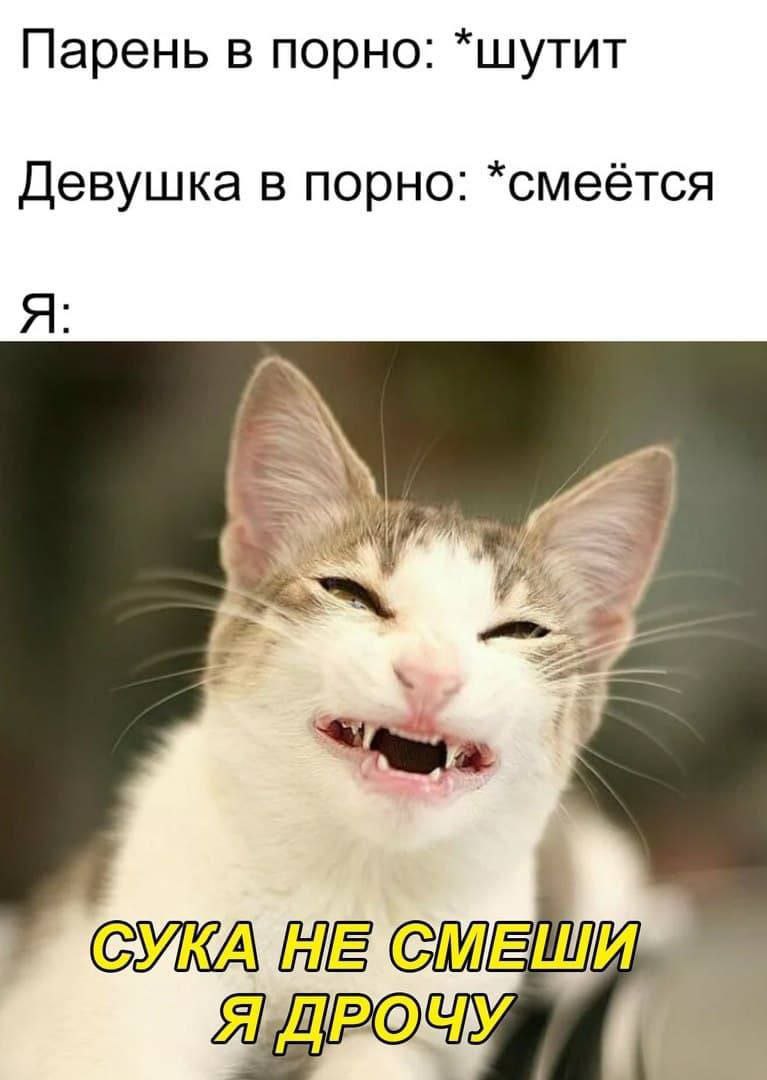 Парень в порно: *шутит Девушка в порно: *смеётся Я: СУКА
